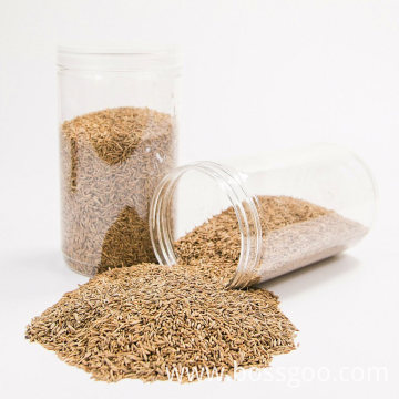 Top Quality 100% Natural Dehydrated Cumin Seeds